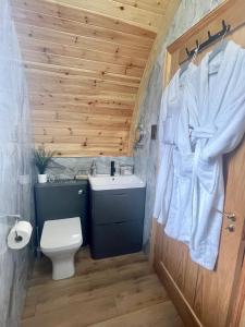 een badkamer met een toilet en een wastafel bij 2 Sinclair bay lodges in Keiss