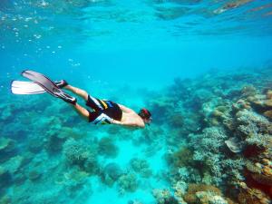 Attività di snorkeling o immersioni presso l'affittacamere o nelle vicinanze
