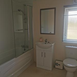 a bathroom with a shower and a sink and a toilet at Homeston Lodge in Drumlemble