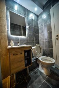 une salle de bain avec toilettes, lavabo et miroir dans l'établissement goltepirot, à Pirot