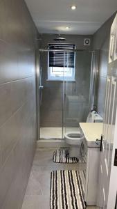 een badkamer met een douche, een toilet en een wastafel bij 2 bedroom apartment in Londen