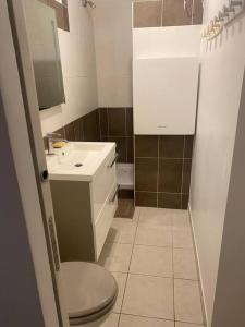 a small bathroom with a toilet and a sink at T2 prés de la mer - Six Fours Les Plages in Six-Fours-les-Plages
