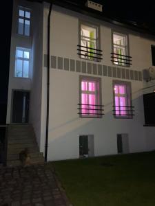 a dog sitting in front of a building at night at Apartamenty Bezrzecze in Szczecin