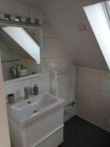 uma casa de banho com um lavatório e um espelho em Ferienwohnung Jule II em Grenzach-Wyhlen