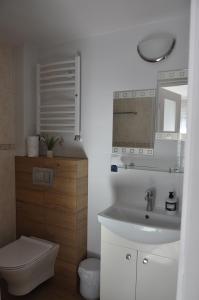 a bathroom with a sink and a mirror and a toilet at J&T Pokoje Wczasowe in Kołobrzeg