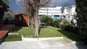 a small yard with a tree and a building at Verdazzurro in Camaiore