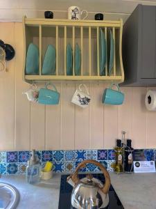 um balcão de cozinha com um bule de chá e pratos numa prateleira em Alice’s Garden @ Bleak House Farm em York