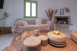 a dog sitting in a living room with a couch at Ventu Paros Villa - Pet Friendly in Márpissa