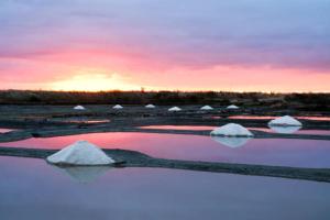 a group of white rocks in the water at sunset at Lac Grand Lieu : maisonnette au calme avec jardin in Saint-Lumine-de-Coutais