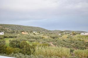 a view of a valley with trees and houses at Filio rooms in Kythira