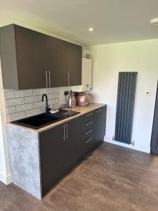 a kitchen with black cabinets and a sink at The Pod in Crowhurst