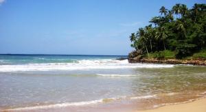 a beach with palm trees and the ocean with waves at Talalla Freedom Resort in Talalla