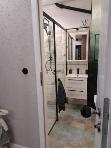 a bathroom with a shower and a sink at Apartament Lipova in Piechowice