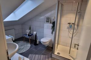 a bathroom with a shower and a toilet and a sink at Capa Ferienwohnung Pfalz in Neustadt an der Weinstraße