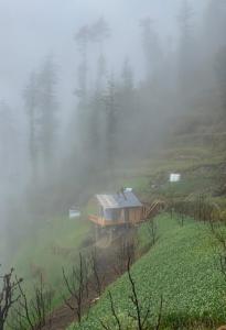 a house in the fog next to a body of water at Cloudwalk Treehouse in Jibhi