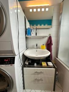 ein kleines Bad mit einem Waschbecken und einer Waschmaschine in der Unterkunft Garden City Appartement in Salzburg