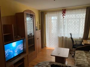 ein Wohnzimmer mit einem Flachbild-TV und ein Zimmer mit einem Sofa in der Unterkunft Minties Street big 47 square meters apartment for 1-5 persons in Vilnius