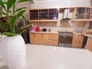 a kitchen with a plant in a white vase at A&A HOTEL in Iquitos