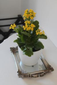 un vase blanc avec des fleurs jaunes assises sur un miroir dans l'établissement @Oudam, à Montagu