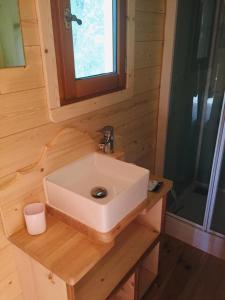 a bathroom with a sink in a tiny house at Roulotte Un temps pour soi in Bérat