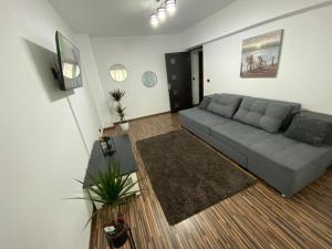 een woonkamer met een grijze bank en een tapijt bij Apartament EXCLUSIVE Târgu Ocna in Tîrgu Ocna