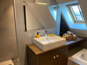 uma casa de banho com um lavatório e um espelho em La Mezzanine des Rohan Saverne em Saverne