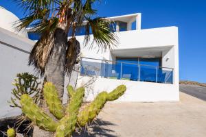 een wit huis met een palmboom ervoor bij Villa Selene heated Indoor Pool in Costa Calma
