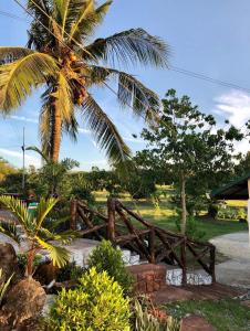 a wooden fence in front of a palm tree at Michaels Homestay - Farm Villa nr Patar Beach & Bolinao Falls in Bolinao