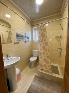 ein Bad mit einem WC, einer Dusche und einem Waschbecken in der Unterkunft Villa OkSun in Schidnyzja