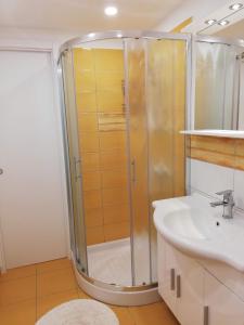 a bathroom with a shower and a sink at Apartment Ana in Bohinj