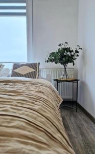 a bedroom with a bed with a plant on a table at Apartament Czechowska Comfort in Lublin
