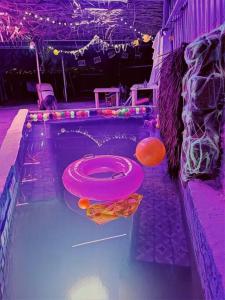 una piscina con un frisbee rosa. en Casa de campo con alberca, en San Juan de los Lagos