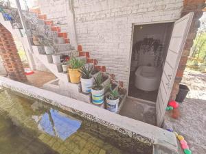 ein Bad mit einem WC und einem Pool mit Wasser in der Unterkunft Casa de campo con alberca in San Juan de los Lagos