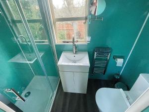 uma casa de banho azul com um lavatório e um chuveiro em Alice’s Garden @ Bleak House Farm em York