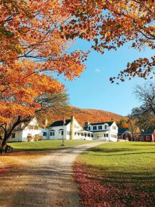 a house with autumn leaves on the trees and a road at Historic Renovated Barn at Boorn Brook Farm - Manchester Vermont in Manchester Center