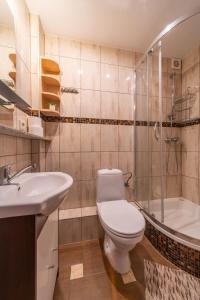 a bathroom with a toilet and a sink and a shower at Pokoje Gościnne Magda in Szklarska Poręba