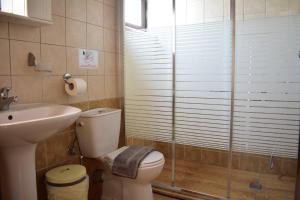 a bathroom with a toilet and a sink and a shower at Marinakis Sea View Studios in Sougia