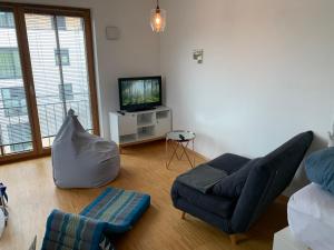 a living room with a couch and a tv at Topmodernes Studio - Sommer im bayerischen Inntal in Brannenburg