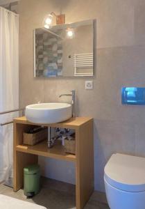 Les Champs du Levant في Cudrefin: حمام مع حوض ومرحاض ومرآة