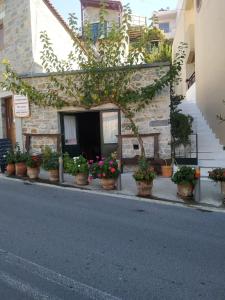 Fotografie z fotogalerie ubytování Melissa Apartments v destinaci Anogia