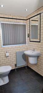 a bathroom with a toilet and a sink at The Liverpool Pod Travel Hostel in Liverpool