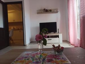 TV a/nebo společenská místnost v ubytování Apartment Dusica