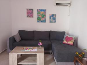 Posezení v ubytování Apartment Dusica