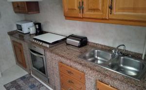 eine Küchentheke mit einer Spüle und einem Toaster in der Unterkunft Apartamento Teresa en Vilanova de Arousa in Pontevedra
