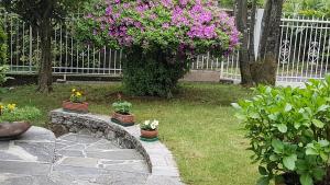 un giardino con fiori e piante in vaso su un sentiero di pietra di Bed & Breakfast Gli Oleandri a Stresa