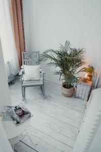 a room with a chair and a potted plant at design LOFT 22 in Warsaw
