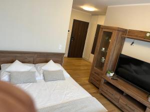 Posteľ alebo postele v izbe v ubytovaní Apartament Garbary 234 parking free