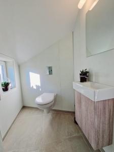 een witte badkamer met een toilet en een wastafel bij #26 Sokndal in Sokndal