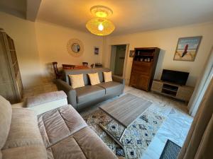 uma sala de estar com um sofá e uma televisão em Côté Jardin - Terrasse, Calme et Cosy em Deauville