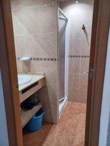 La salle de bains est pourvue d'une douche et d'un lavabo. dans l'établissement ESTUDIO EDIFICIO LIMA-TORREMOLINOS, à Torremolinos